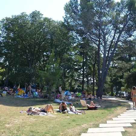 Di 45 M² Con 1